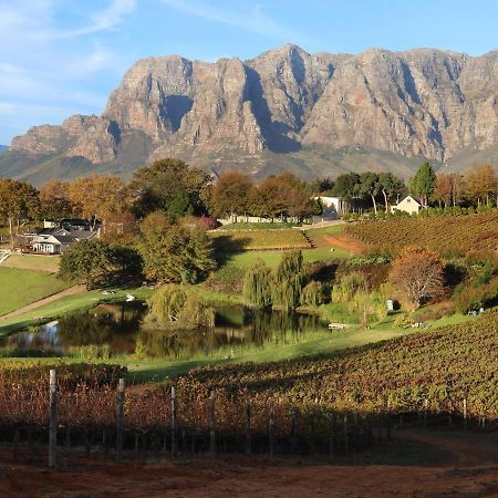 Alluvia Boutique Winery & Luxury Accommodation Stellenbosch Eksteriør billede The Paarl Mountain Range