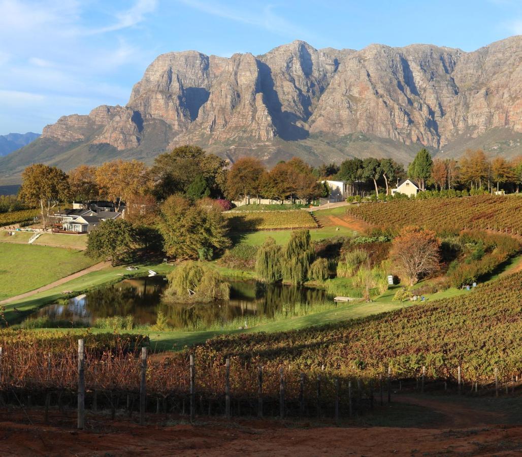 Alluvia Boutique Winery & Luxury Accommodation Stellenbosch Eksteriør billede The Paarl Mountain Range