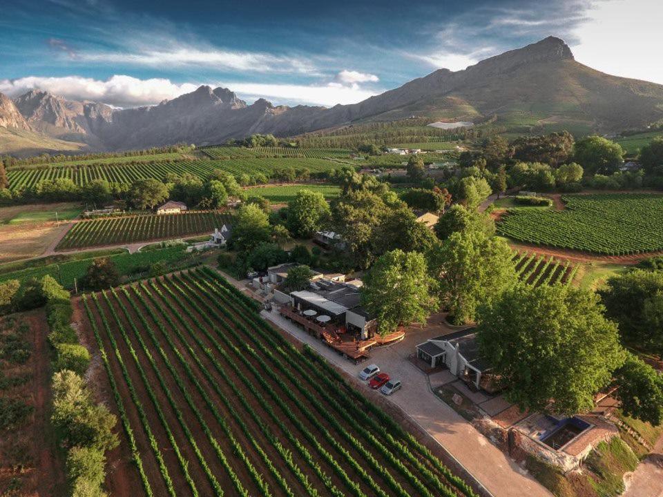Alluvia Boutique Winery & Luxury Accommodation Stellenbosch Eksteriør billede Aerial view of the winery