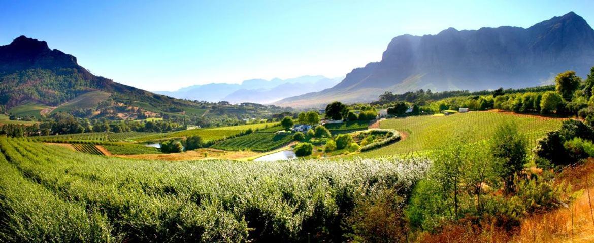 Alluvia Boutique Winery & Luxury Accommodation Stellenbosch Eksteriør billede The Paarl Wine Route