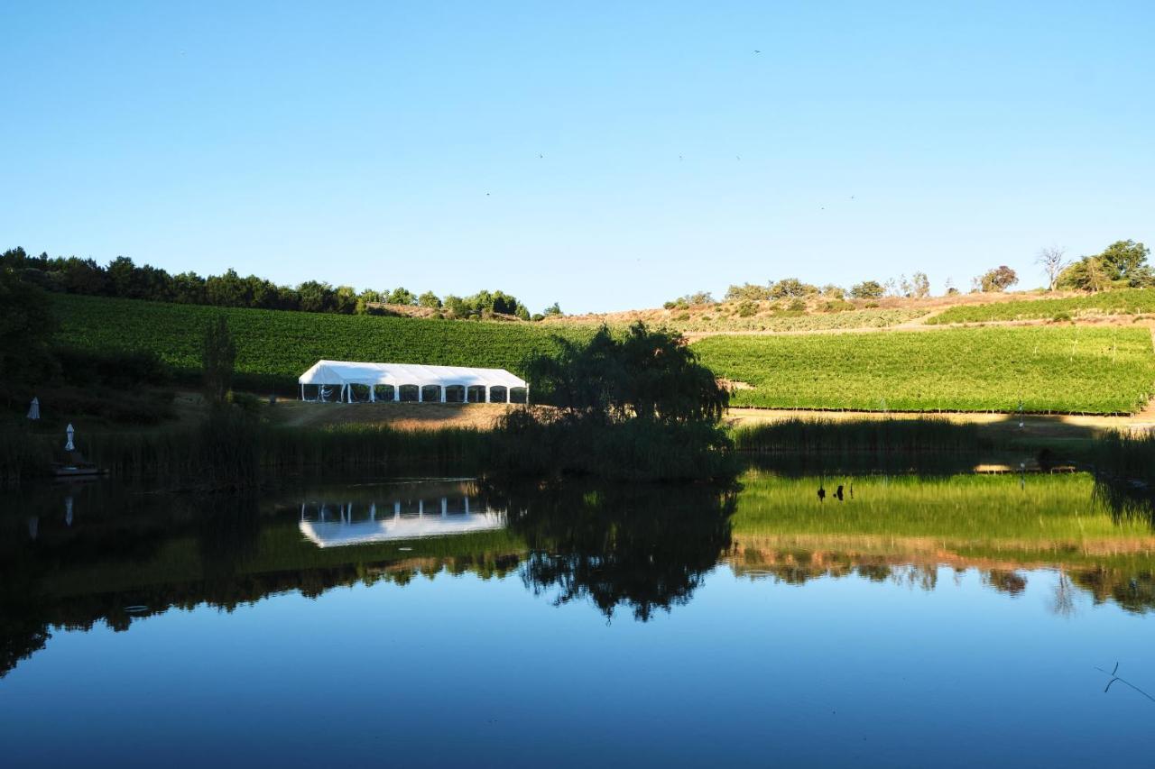 Alluvia Boutique Winery & Luxury Accommodation Stellenbosch Eksteriør billede The vineyard at the winery
