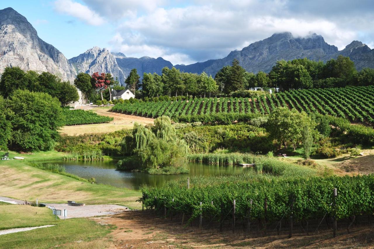 Alluvia Boutique Winery & Luxury Accommodation Stellenbosch Eksteriør billede Wine estate in Stellenbosch