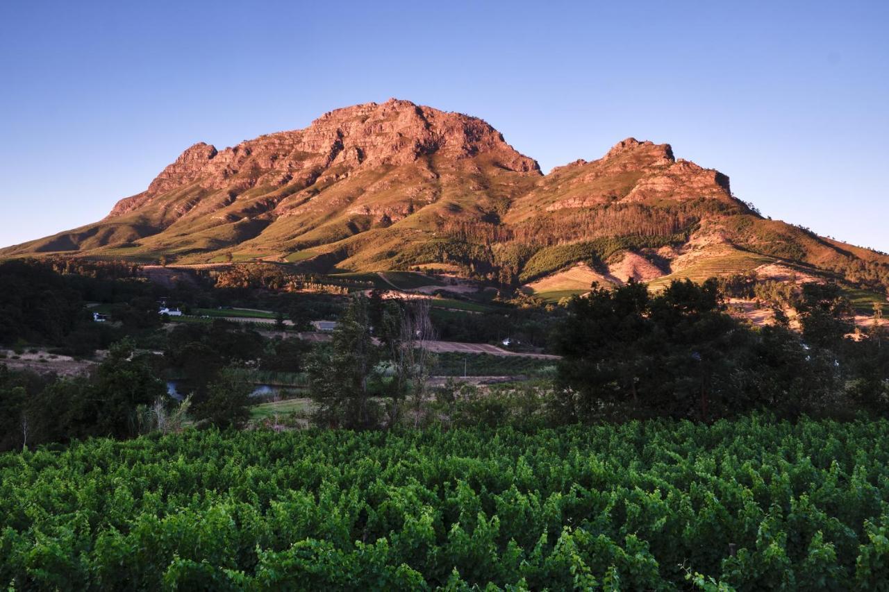 Alluvia Boutique Winery & Luxury Accommodation Stellenbosch Eksteriør billede The Paarl Mountain