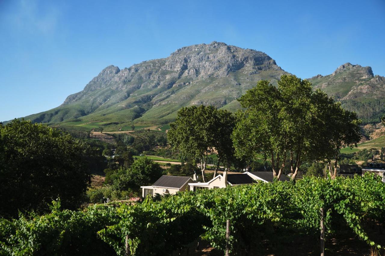Alluvia Boutique Winery & Luxury Accommodation Stellenbosch Eksteriør billede Wine estate in Stellenbosch