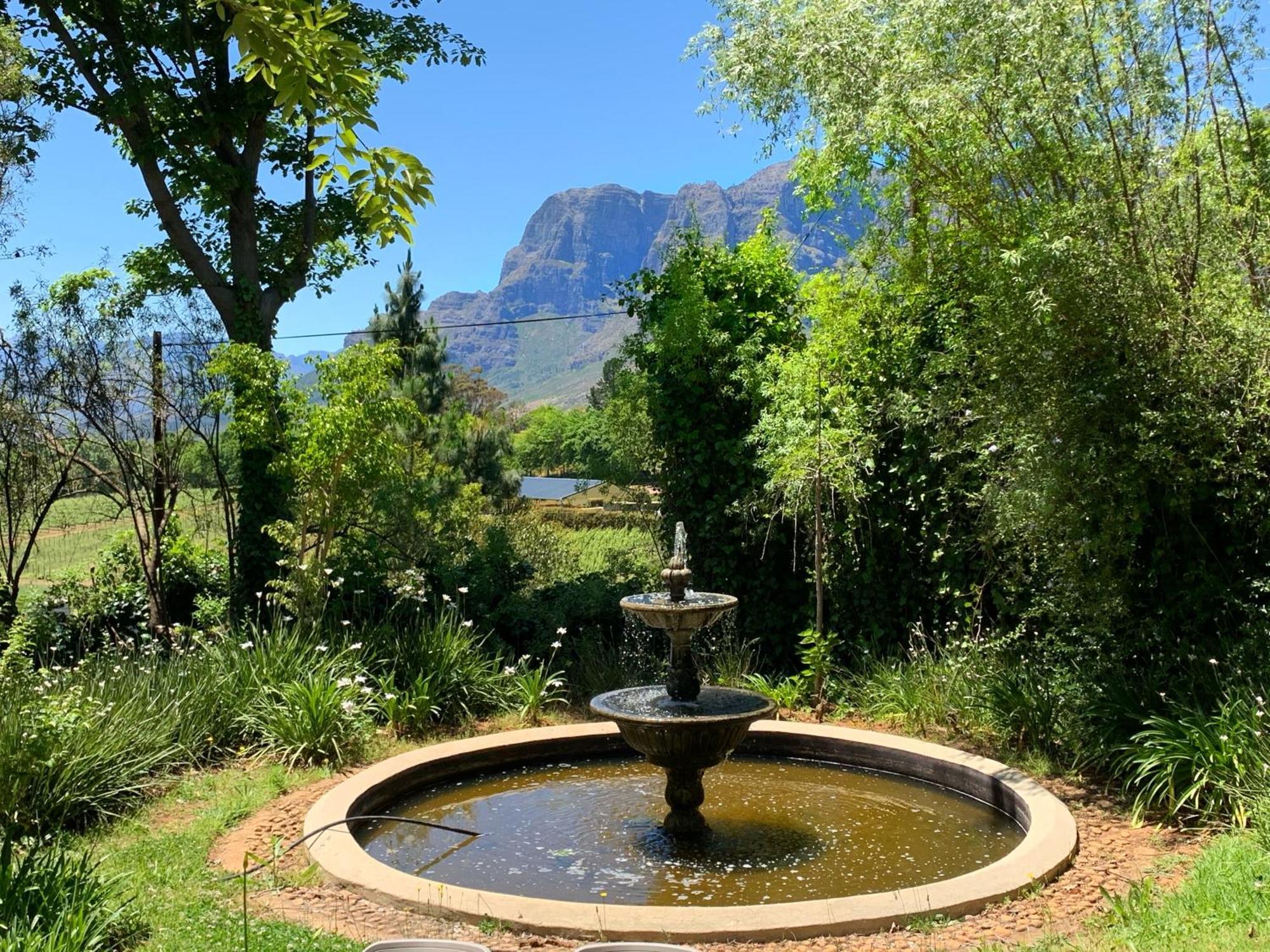 Alluvia Boutique Winery & Luxury Accommodation Stellenbosch Værelse billede Fountain at the entrance of the Tokai Arboretum